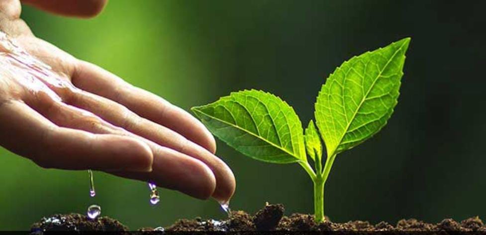 WhatsApp Image 2025-06-18 at 08.36.46 (1)