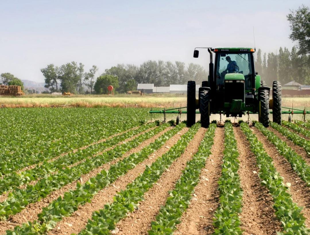 WhatsApp Image 2025-06-18 at 08.45.48